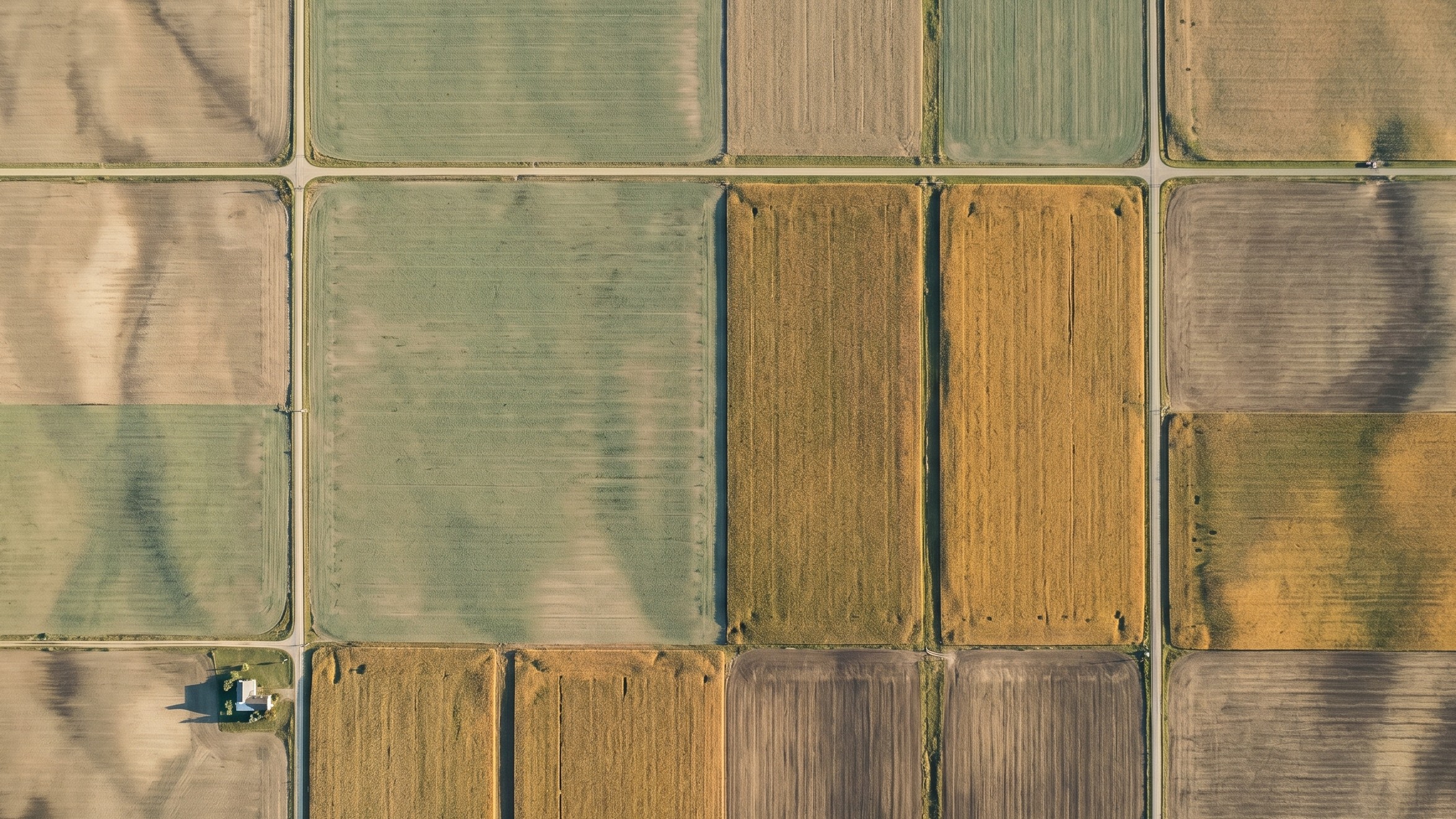 Aerial view of South Dakota farmland in a patchwork of tan, green, and gold